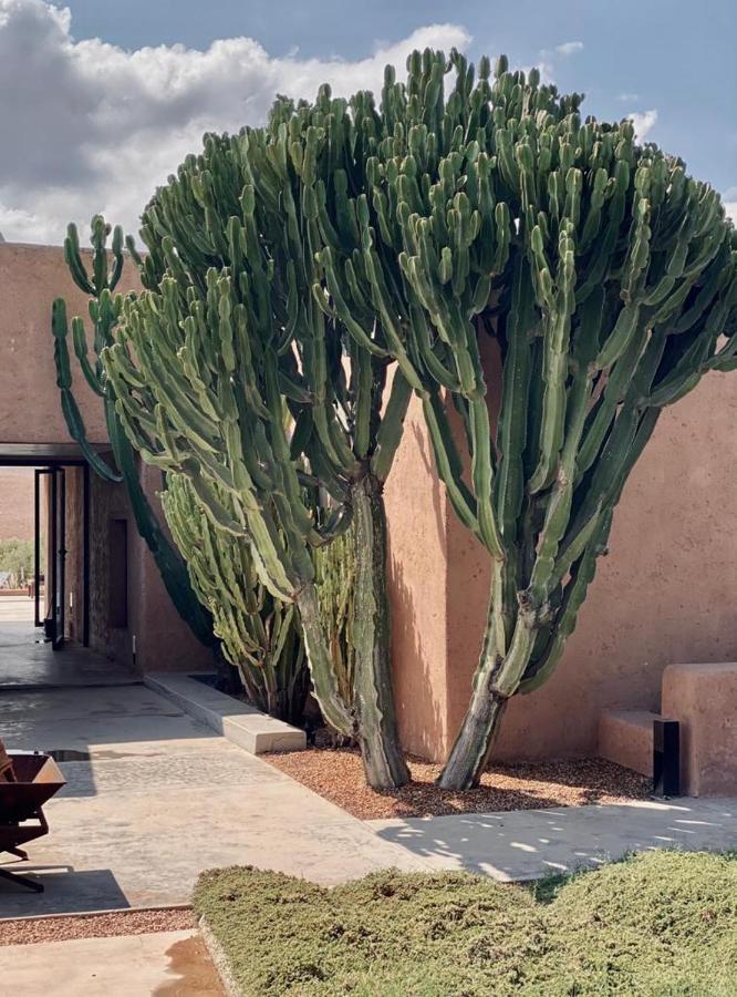 Villa K Marrakesh Extérieur photo